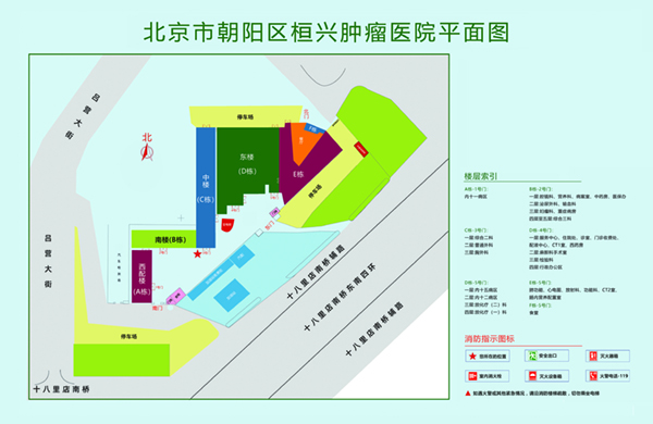 石莲秀骚逼社区北京市朝阳区桓兴肿瘤医院平面图